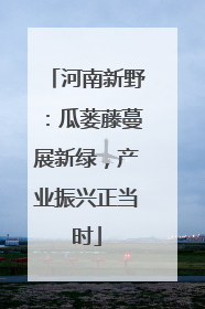 河南新野：瓜蒌藤蔓展新绿，产业振兴正当时