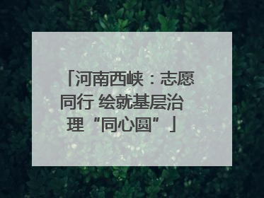 河南西峡：志愿同行 绘就基层治理“同心圆”