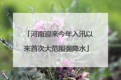 河南迎来今年入汛以来首次大范围强降水