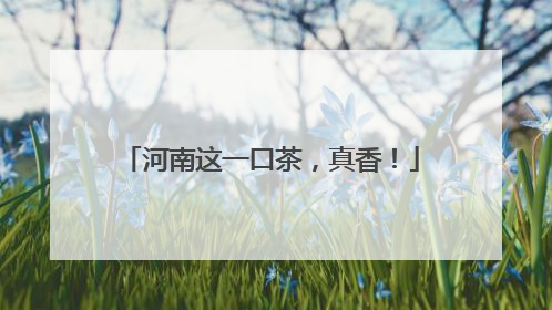 河南这一口茶，真香！