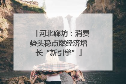 河北廊坊：消费势头稳点燃经济增长“新引擎”