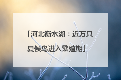 河北衡水湖：近万只夏候鸟进入繁殖期