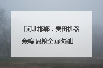 河北邯郸：麦田机器轰鸣 夏粮全面收割