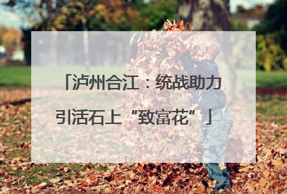 泸州合江：统战助力引活石上“致富花”