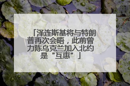 泽连斯基将与特朗普再次会晤，此前曾力陈乌克兰加入北约是“互惠”