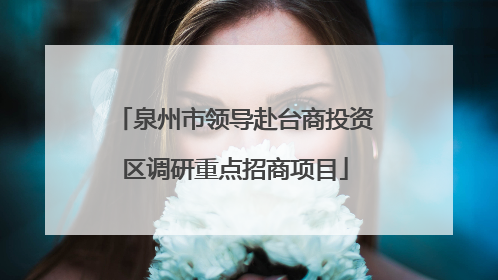泉州市领导赴台商投资区调研重点招商项目