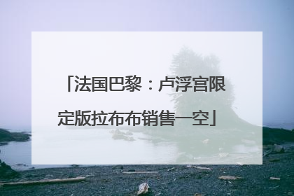 法国巴黎：卢浮宫限定版拉布布销售一空
