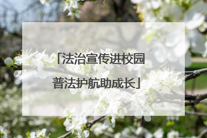 法治宣传进校园 普法护航助成长
