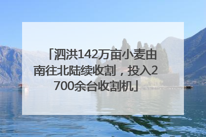 泗洪142万亩小麦由南往北陆续收割，投入2700余台收割机