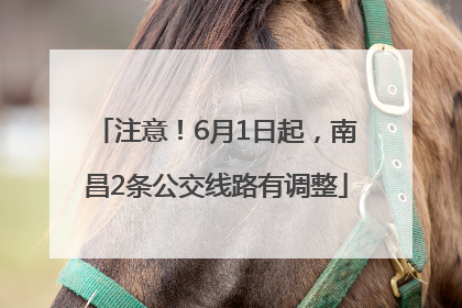 注意！6月1日起，南昌2条公交线路有调整
