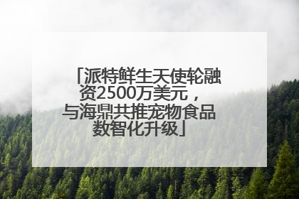 派特鲜生天使轮融资2500万美元，与海鼎共推宠物食品数智化升级