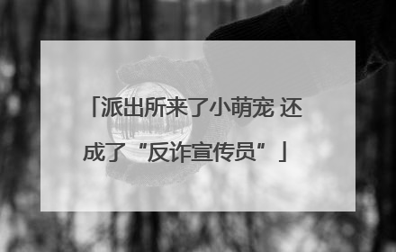 派出所来了小萌宠 还成了“反诈宣传员”