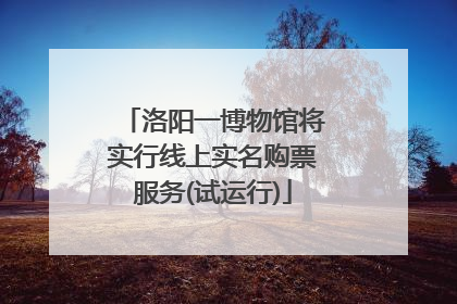 洛阳一博物馆将实行线上实名购票服务(试运行)