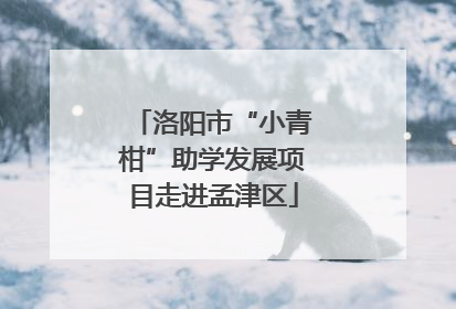 洛阳市“小青柑”助学发展项目走进孟津区
