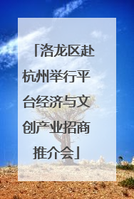 洛龙区赴杭州举行平台经济与文创产业招商推介会