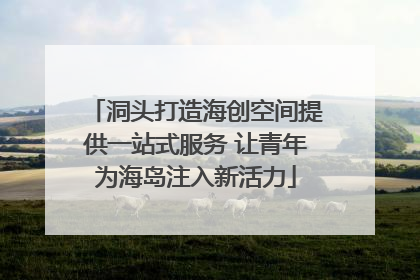 洞头打造海创空间提供一站式服务 让青年为海岛注入新活力