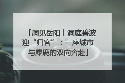 洞见岳阳丨洞庭碧波迎“归客”：一座城市与麋鹿的双向奔赴