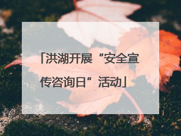 洪湖开展“安全宣传咨询日”活动