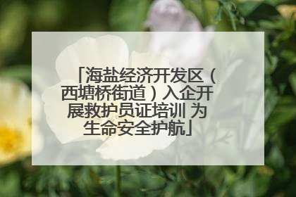 海盐经济开发区（西塘桥街道）入企开展救护员证培训 为生命安全护航