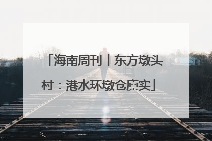 海南周刊丨东方墩头村：港水环墩仓廪实