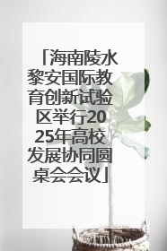 海南陵水黎安国际教育创新试验区举行2025年高校发展协同圆桌会会议