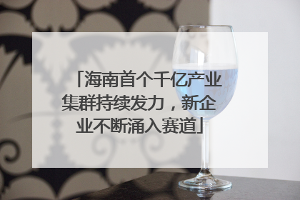 海南首个千亿产业集群持续发力，新企业不断涌入赛道
