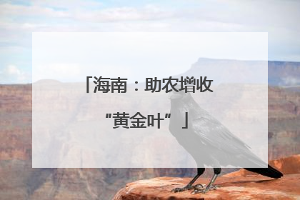 海南：助农增收 “黄金叶”
