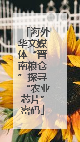 海外华文媒体“晋南粮仓”探寻“农业芯片”密码