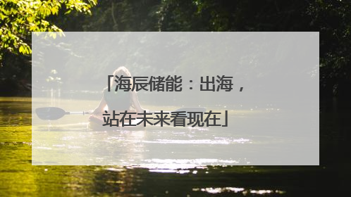 海辰储能：出海，站在未来看现在