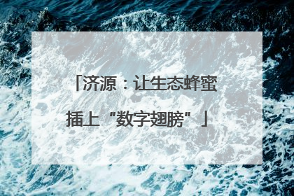 济源：让生态蜂蜜插上“数字翅膀”