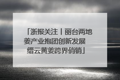 浙报关注丨丽台两地姜产业抱团创新发展 缙云黄姜跨界俏销