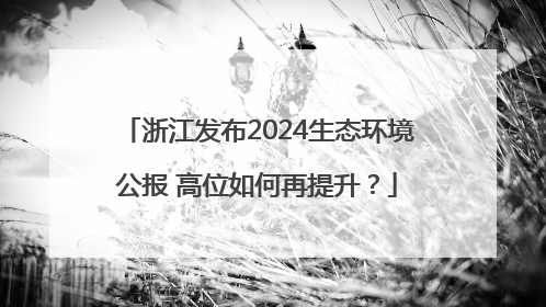浙江发布2024生态环境公报 高位如何再提升？