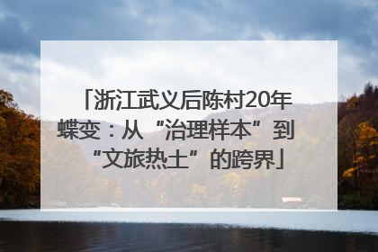 浙江武义后陈村20年蝶变：从“治理样本”到“文旅热土”的跨界
