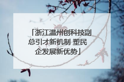 浙江温州创科技副总引才新机制 塑民企发展新优势