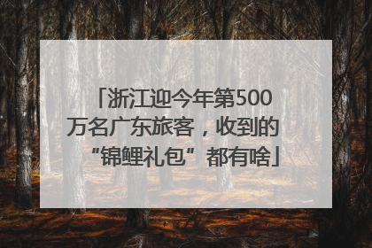 浙江迎今年第500万名广东旅客，收到的“锦鲤礼包”都有啥