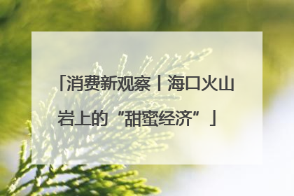 消费新观察丨海口火山岩上的“甜蜜经济”