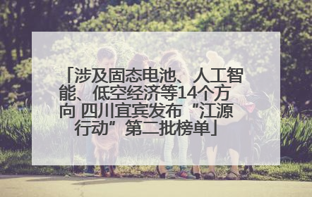 涉及固态电池、人工智能、低空经济等14个方向 四川宜宾发布“江源行动”第二批榜单