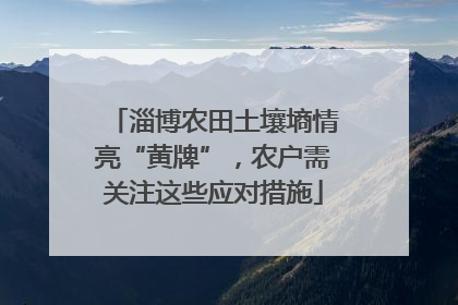 淄博农田土壤墒情亮“黄牌”，农户需关注这些应对措施