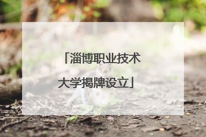 淄博职业技术大学揭牌设立