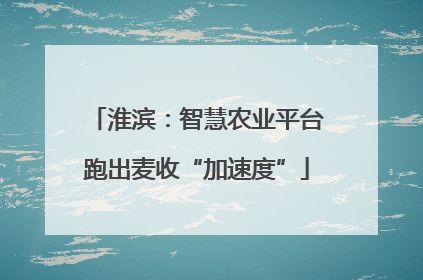 淮滨：智慧农业平台跑出麦收“加速度”