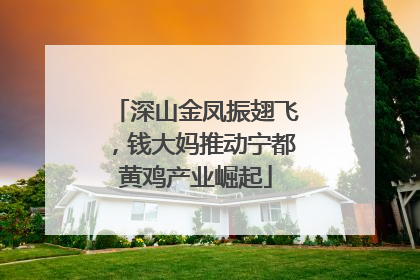深山金凤振翅飞，钱大妈推动宁都黄鸡产业崛起