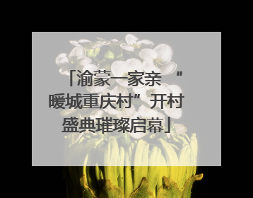 渝蒙一家亲 “暖城重庆村”开村盛典璀璨启幕