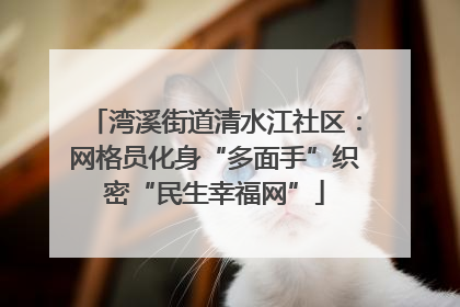 湾溪街道清水江社区：网格员化身“多面手”织密“民生幸福网”