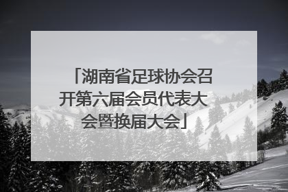 湖南省足球协会召开第六届会员代表大会暨换届大会