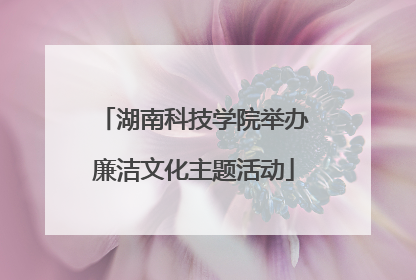 湖南科技学院举办廉洁文化主题活动