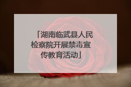 湖南临武县人民检察院开展禁毒宣传教育活动