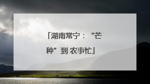 湖南常宁：“芒种”到 农事忙
