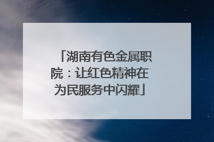 湖南有色金属职院：让红色精神在为民服务中闪耀