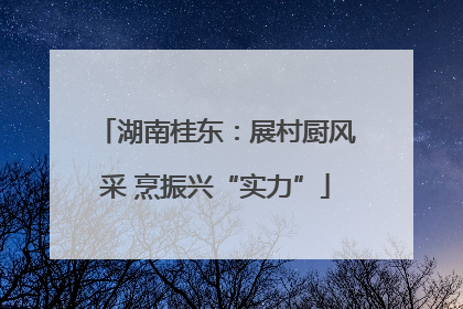 湖南桂东：展村厨风采 烹振兴“实力”