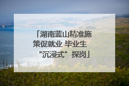 湖南蓝山精准施策促就业 毕业生“沉浸式”探岗
